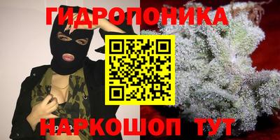 крисы Северобайкальск