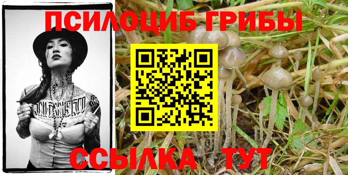 Галлюциногенные грибы прущие грибы  как найти закладки  Советский  Вход с VPN 